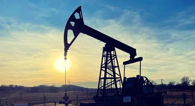 Halk, de alacsonyan száll: ezért köröz repülő a napokban a Balaton felett