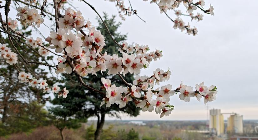 Napsütés jön, de a szél könnyen felboríthatja a napot