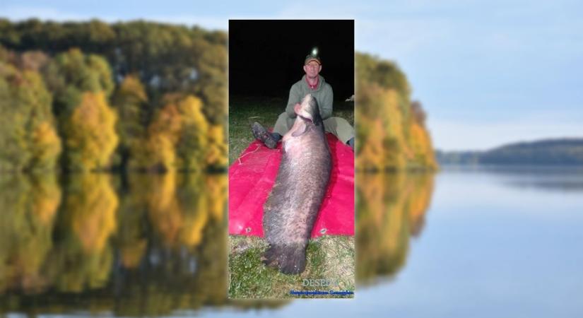 Hatalmas harcsát fogtak ebben a tóban - ezt a halszörnyet látnod kell