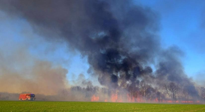 Műholdképen az egyeki nádastűz nyomai