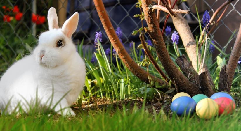 Húsvétváró családi napra hívják a debrecenieket a Postakertbe