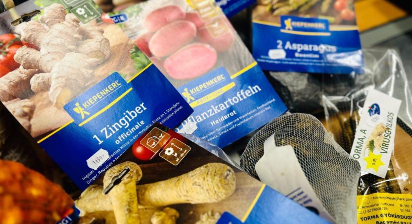 Rákattantak Zalában: ezek a különleges zöldségek most mindent visznek a kertekben