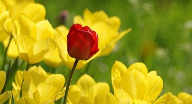 Sándor, József, Benedek mégsem hoz meleget? Meglepő eredményeket közölt a HungaroMet