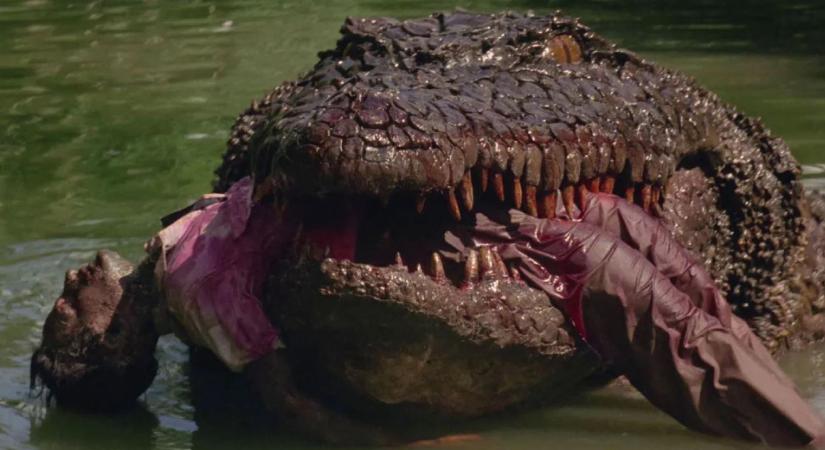 Krokodilos horrort készít a Lionsgate, Glen Powell a producer