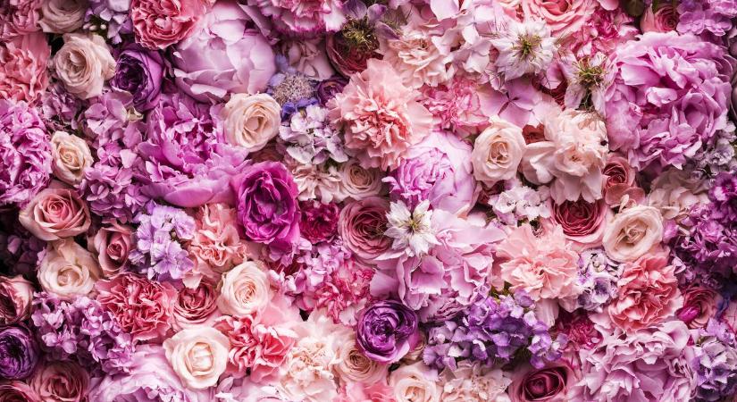 Csak a legszemfülesebbek jönnek rá: melyik a hibás virág a képen?