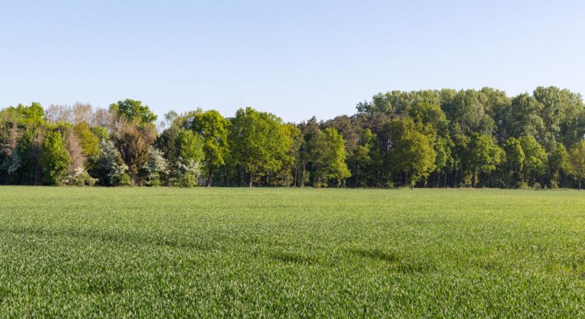 Vigyázz! Ha ezt teszed, bírságot kapsz, és csökkenhet a mezőgazdasági támogatásod!