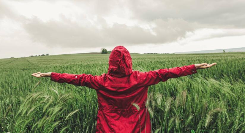 Rejtélyes húseső hullott az égből a 19. században – ma sem tudják, mi történt