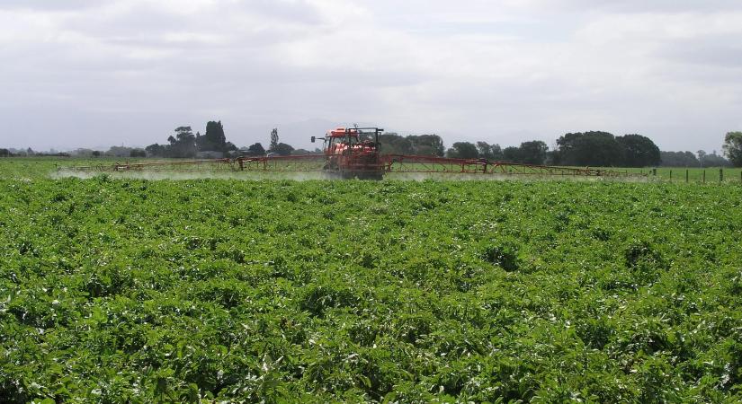 A hamis növényvédő szerek veszélyeire hívja fel a figyelmet a Nébih