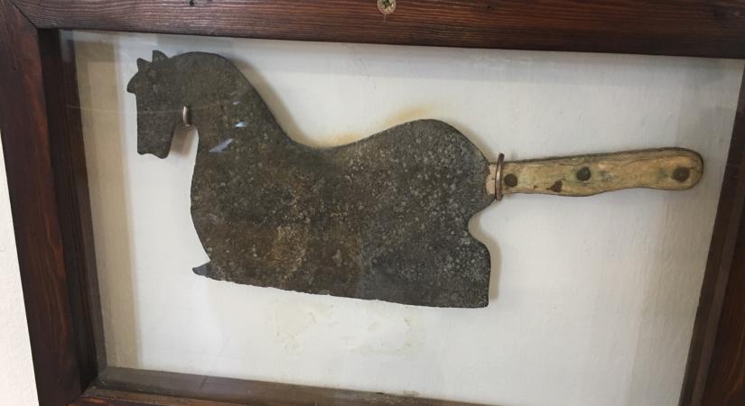 Lóbárd – A nap képe