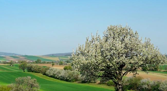 Amilyen az idő március 19-én, olyan lesz 40 napig - Friss előrejelzés csütörtökre, József napra