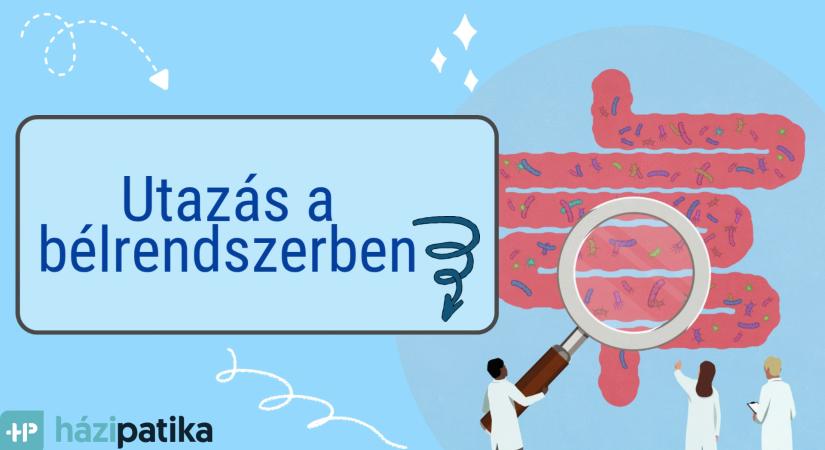Utazás a bélrendszerben - az aranyér kialakulásának folyamata