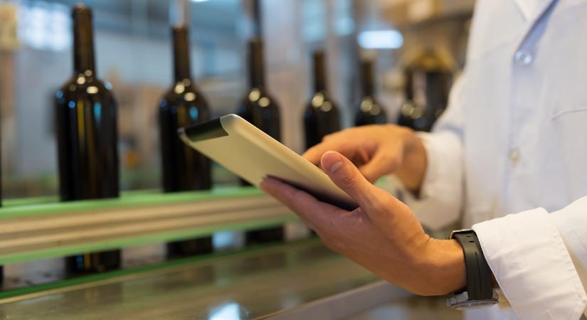 Világraszóló siker: ez a borászat lett az év magyar termelője a rangos versenyen