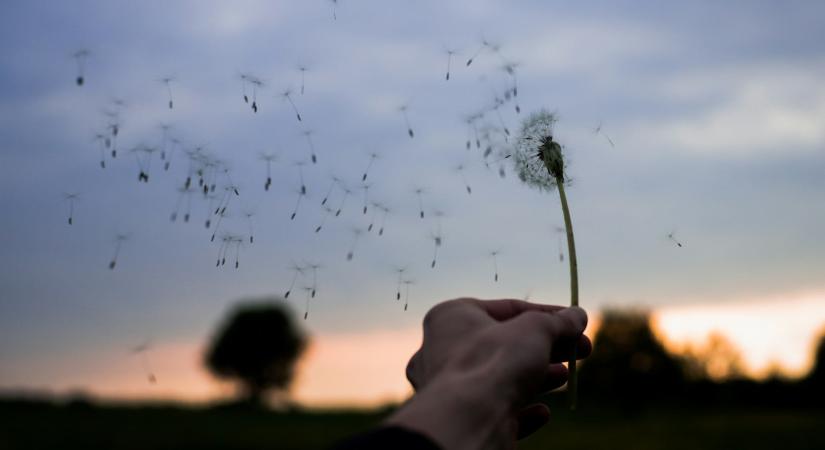 Időjárás 2026. március 19.: Szeles, közepesen felhős napra ébredünk