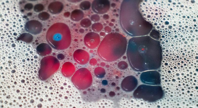 Így szennyez a mosogatószivacs