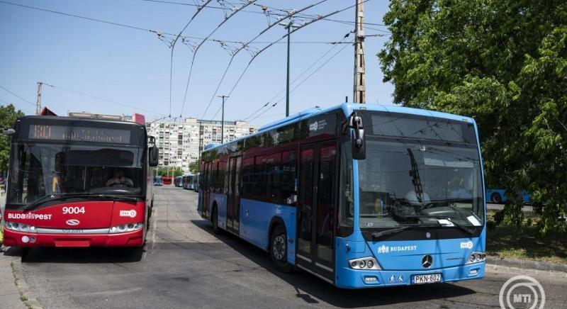 BKK: sűrűbben induló, nagyobb kapacitású járművekkel lehet elérni fővárosi szabadidős célpontokat