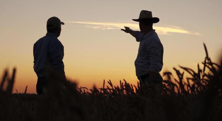 Háborús sokk rázza a spanyol termelőket