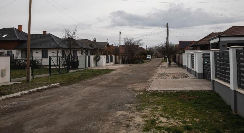 Csak arra vár a pénzfa, hogy megrázd: megsúgja az ingatlanos, hogy maxold ki az összes lakástámogatást