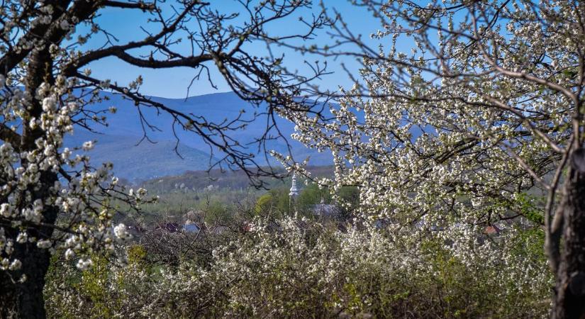 Olyan idő lesz, hogy bánhatja az, aki ma a négy fal között marad
