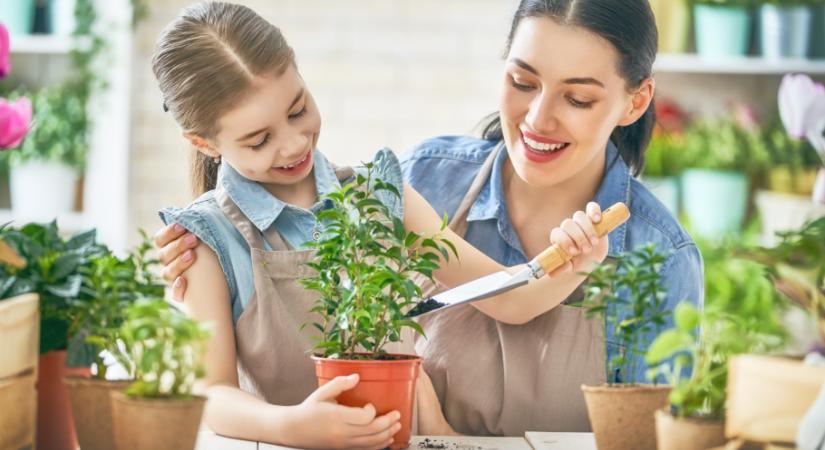Heti programajánló március 19-25: Táncolj a hegyen, vonulj fel az írek ünnepén és kertészkedj!