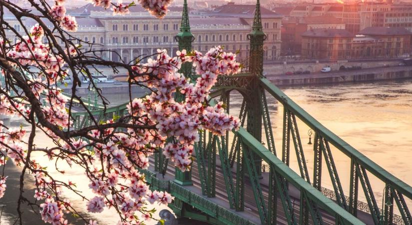 Valami, amit a magyarok mindig félve néznek meg hajnalban