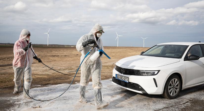 Rejtélyes, meg nem nevezett betegség miatt pusztítják az állatállományt az orosz hatóságok