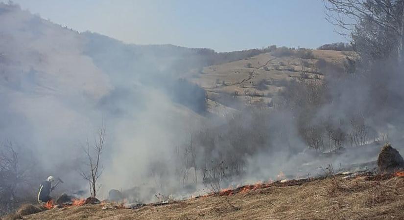 2,25 hektár erdei aljnövényzet semmisült meg egy nap alatt Kárpátalján két tűzvész miatt