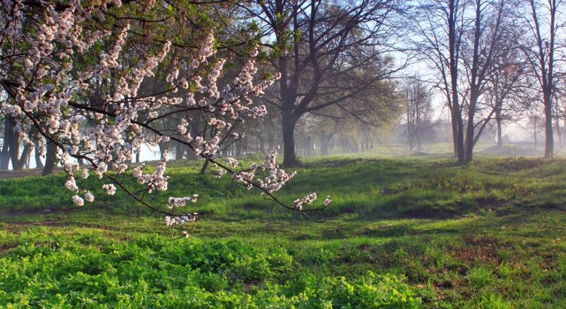 Meteorológia: nem tekinthető általánosnak a markáns, hirtelen melegedés Sándor, József, Benedek napját követően