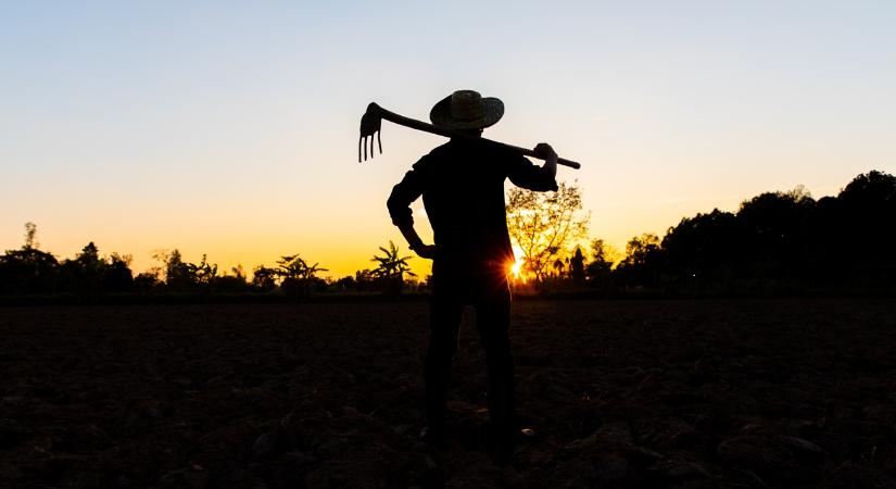 Támogatáscsökkentés jöhet: új szabályok 2026-tól