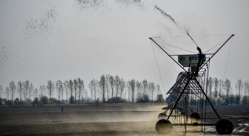 Az ország szinte teljes kiszáradása kellett ahhoz, hogy az agrárkormányzat szóba álljon az évek óta paradigmaváltást sürgető vízválasztókkal