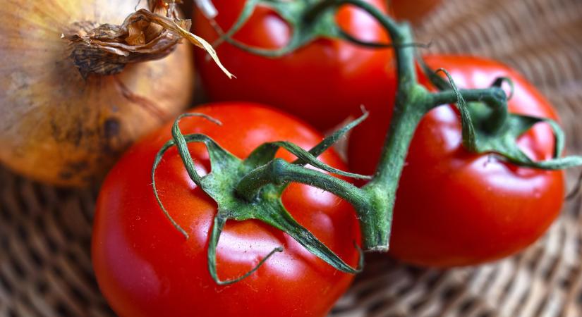 Továbbra is extrém magasak a paradicsom- és paprikaárak Spanyolországban