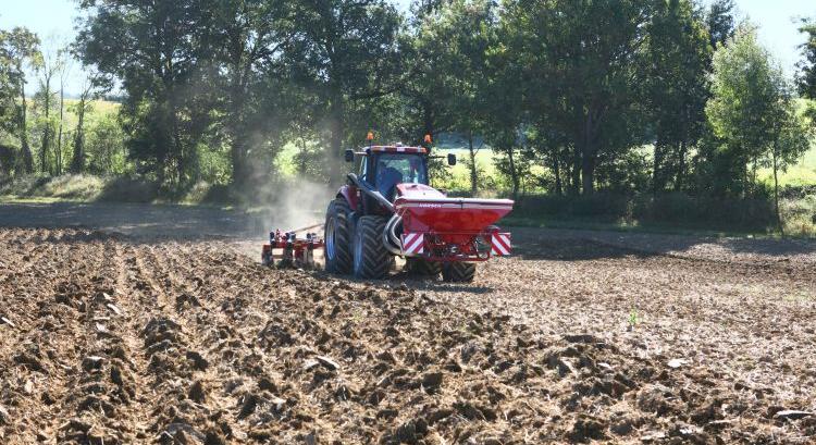 Költségcsökkentés takarónövénnyel, Horsch-technológiával