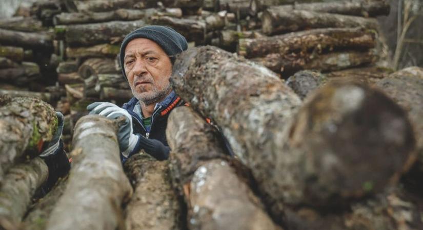 Gyerekeknek veszélyes az elektromos roller, a krízisfa pedig nehézséget is jelent