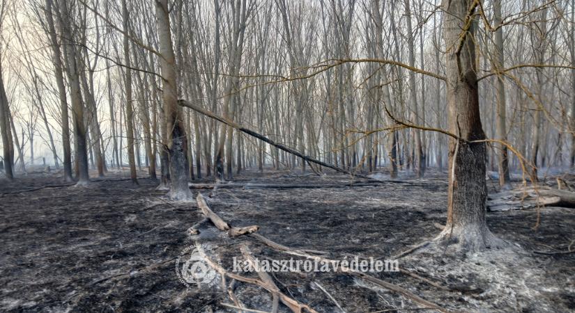 A Nébih újabb három, köztük Jász-Nagykun-Szolnok vármegyében rendelt el tűzgyújtási tilalmat