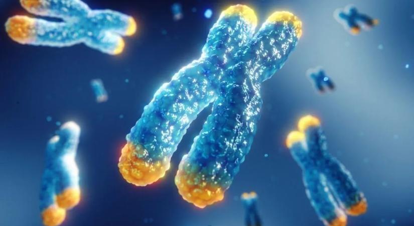 Korán eldől, hogy mennyi ideig élünk és rákosok leszünk-e