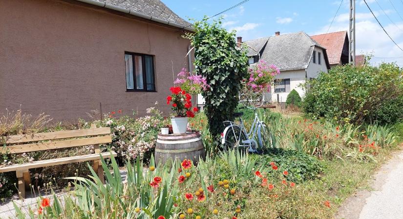 A nagyvárosoktól mért 25-30 kilométeres zónában fekvő településeken nőtt a lakosság száma tavaly