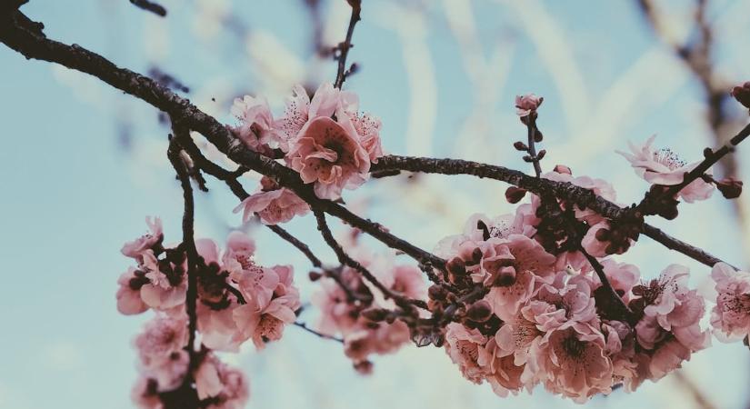 Időjárás: ne bízzon a napsütésben, kemény fagyok jönnek