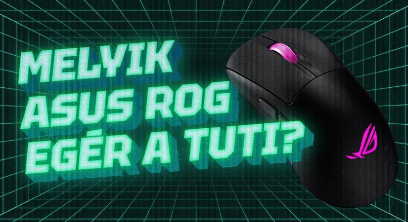 Egérfogóban az ASUS gamer rágcsálói!