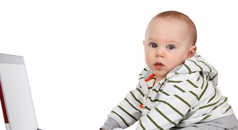 Fizet a Babakötvény