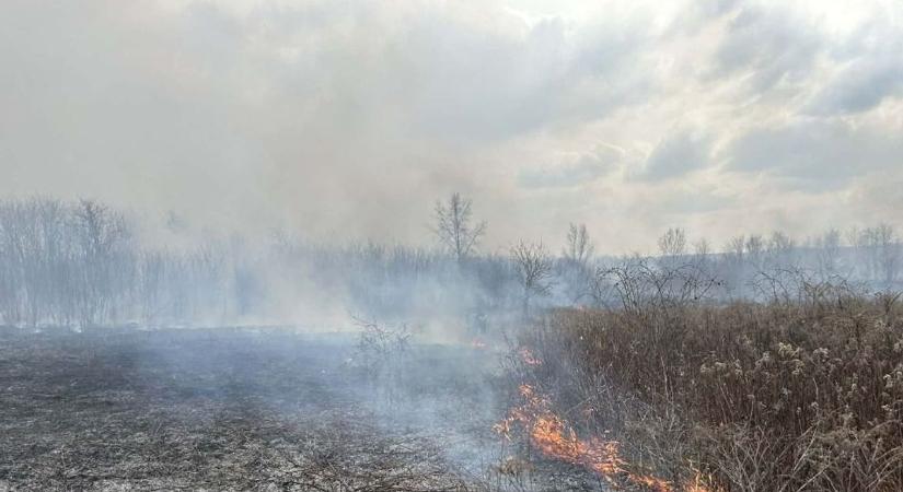 A dorogi szabadtéri tűz egy épületre is átterjedt - helyszíni fotókon a pusztítás