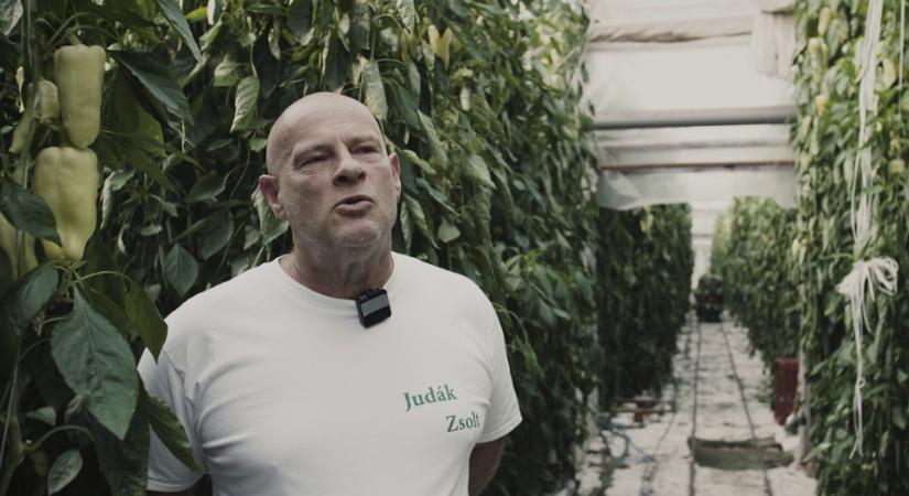 Tiszás képviselőjelölt: „A kis **banc megerőszakolta a mi szeretett miniszterelnökünket”