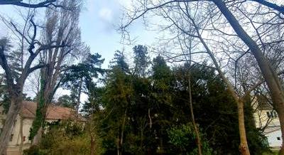 Közel 6 hektáros történeti kerttel gazdagodott Göd – Megújult a Huzella Kert