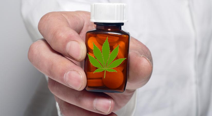 A kannabisz hatóanyagai visszafordíthatják a világ leggyakoribb májbetegségét