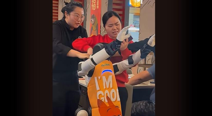 Begőzölt a humanoid robot a kínai étteremben, hárman próbálták lefogni – videó