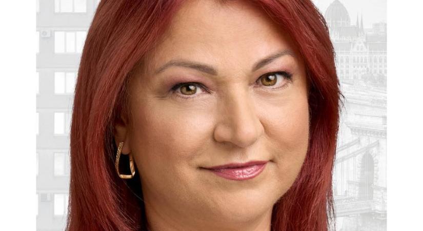 Bemutatkozik Orbán Adrien, a DK jelöltje Győr 02 számú választókerületében