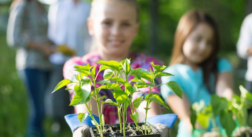 Zöld Rügy díj: április 30-ig nevezhetnek a fenntartható települési megoldások