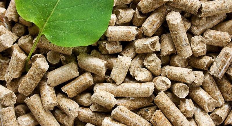 Már most kezdjen el felkészülni a következő télre