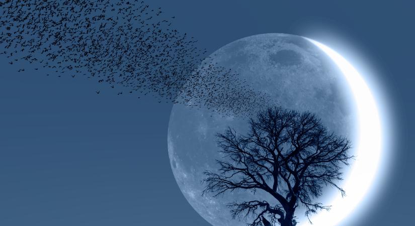 4 csillagjegy életében új fejezet nyílik a Halak újhold idején