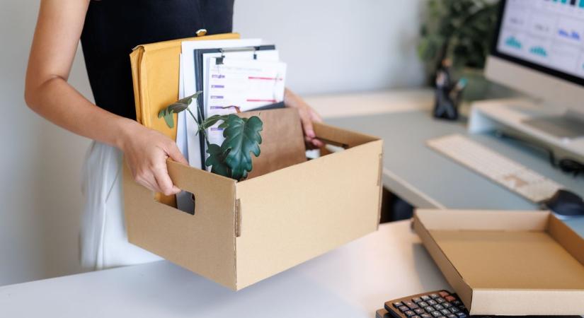 Győr-Moson-Sopronban is sikeres az álláskeresők támogatása