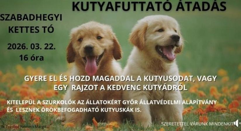 Kutyafuttatót adnak át vasárnap Győr-Szabadhegyen