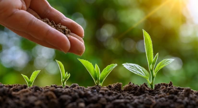 Súlyos állapot jöhet az agrárnagyhatalomnál: az agrárminiszter is kifakadt